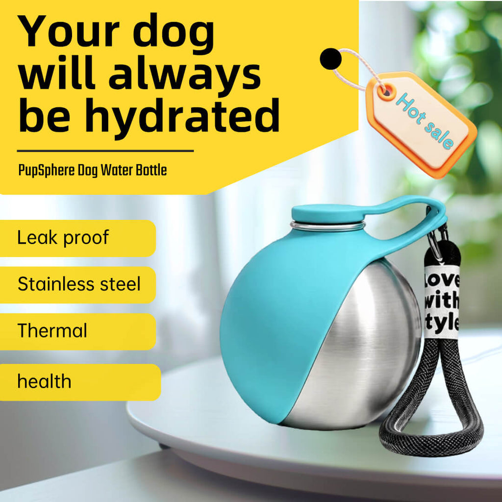 Dog Travel Water Bottle clipped to a leash for hands-free carrying