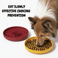 Slow Feeder Dog Bowl with Suction Base | Anti-Choking Pet Feeding Bowl