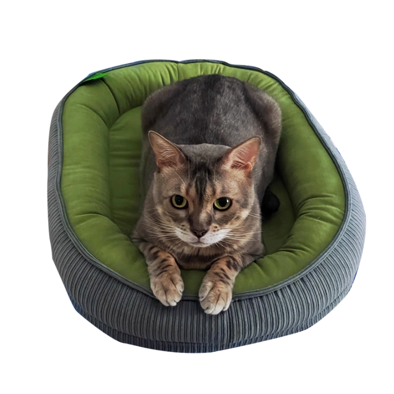Calming Dog Bed with Neck Support | Ultra-Soft Pet Sofa Bed