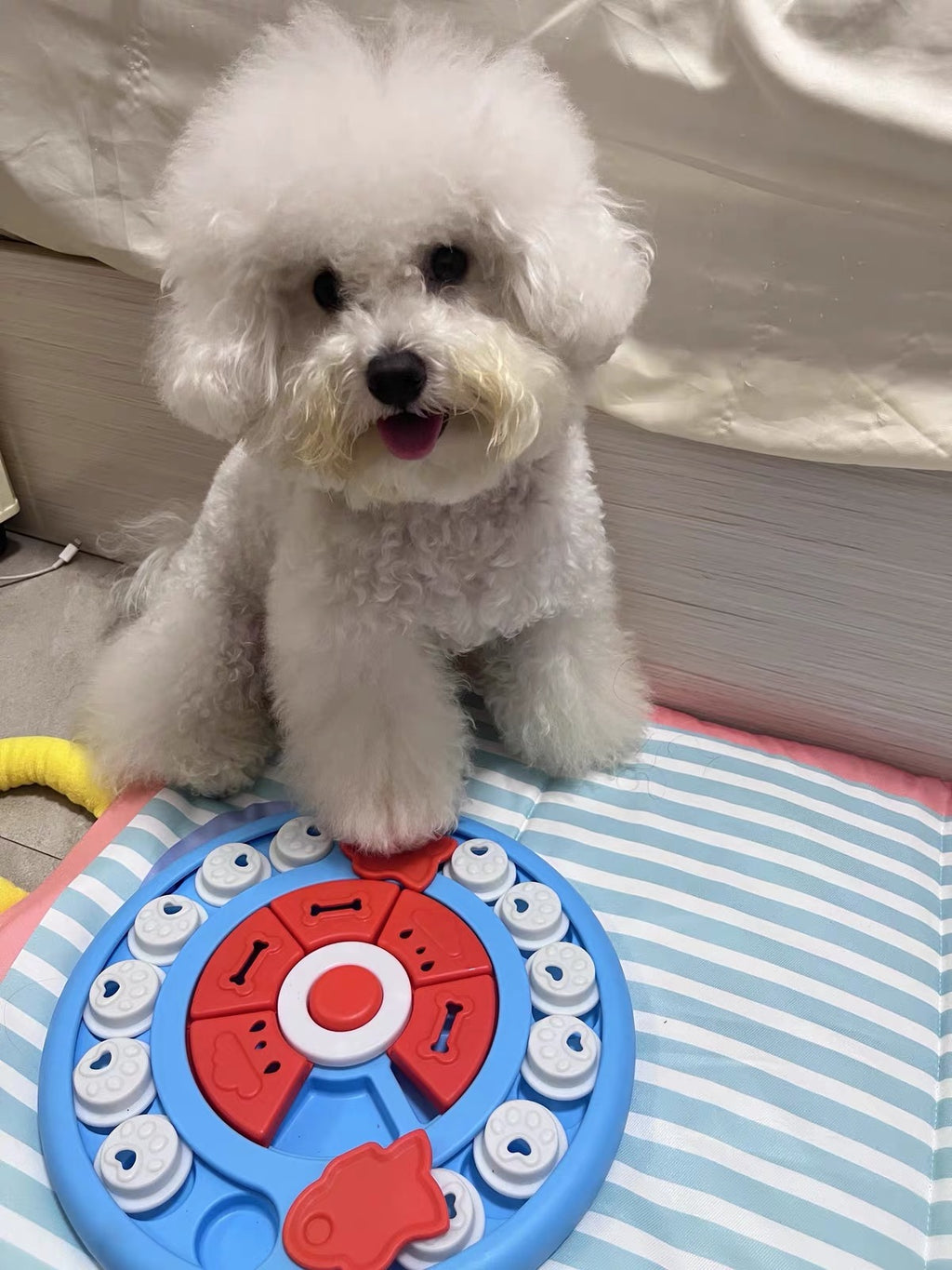 Pizza Snuffle Puzzle Toy | Interactive Dog Enrichment Toy