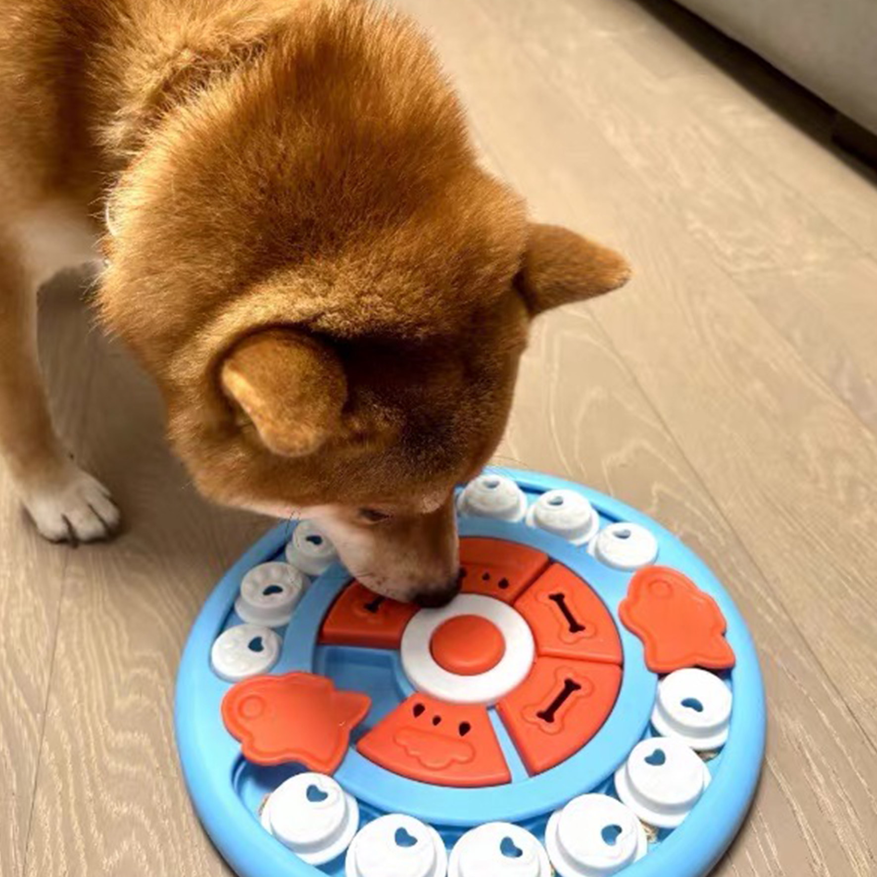 Pizza Snuffle Puzzle Toy | Interactive Dog Enrichment Toy