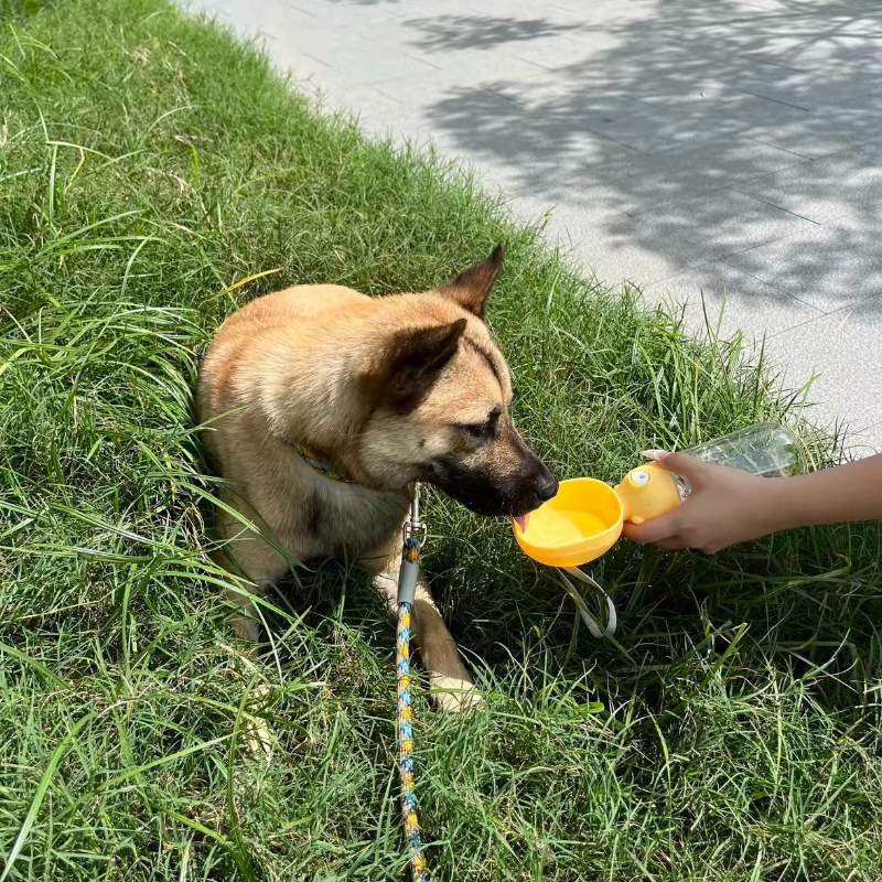 Portable Outdoor Dog Travel Water Bottle