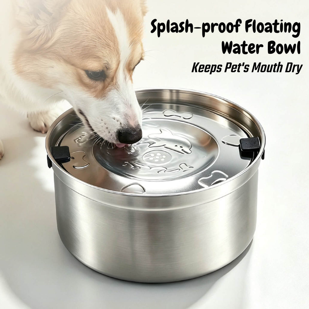 Dog drinking from splash-proof floating stainless steel water bowl without wetting its mouth