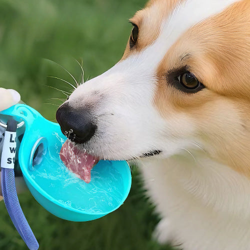 Dog Travel Water Bottle shown in available colors