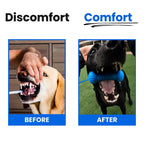 Owner brushing a dog's teeth while the dog chews the dental chew toy