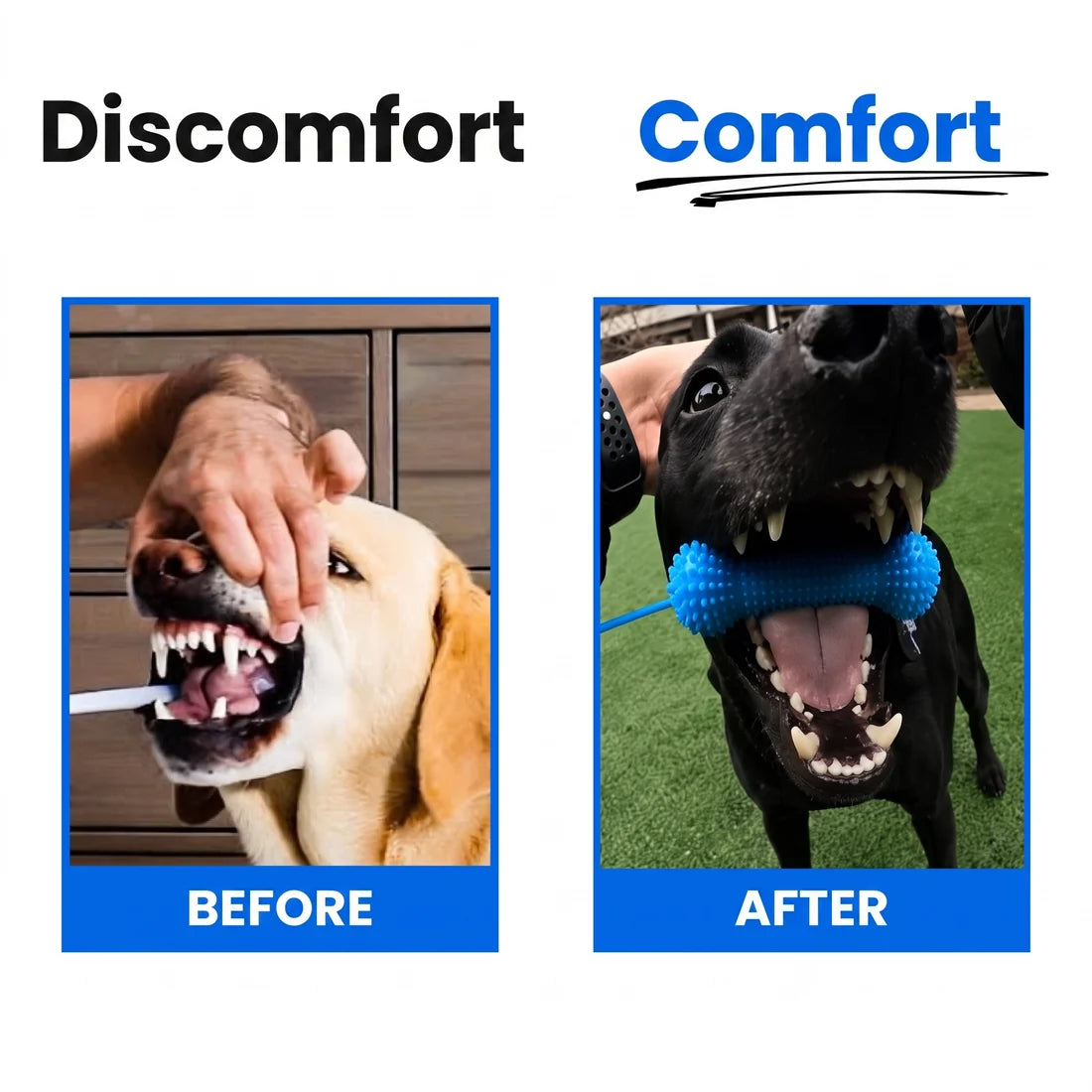 Owner brushing dog's teeth while dog chews the Dental Chew Toy