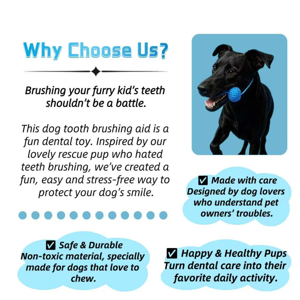 Why dog owners choose the dental chew toy: designed for dogs who love to chew