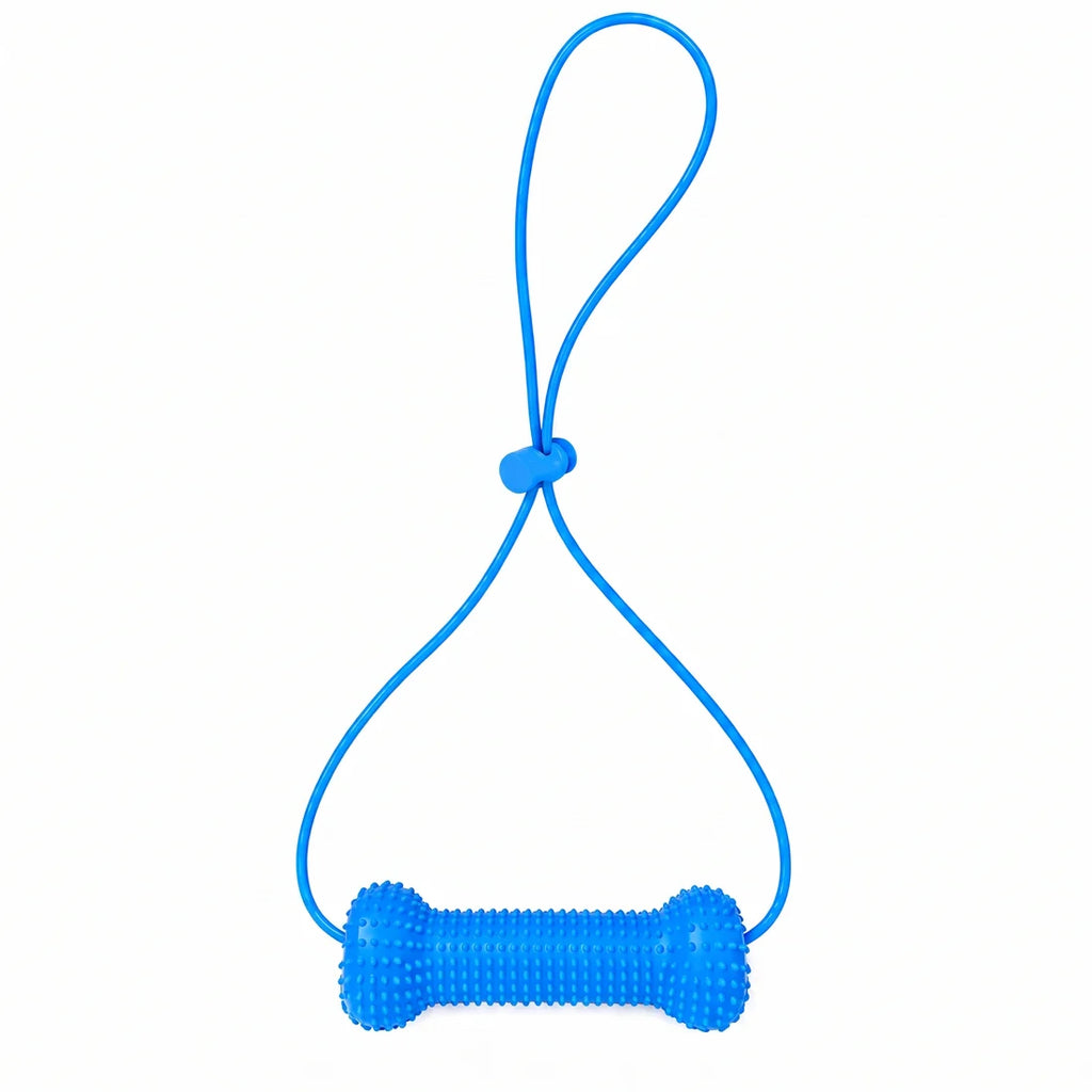 Dog Dental Chew Toy - main product view