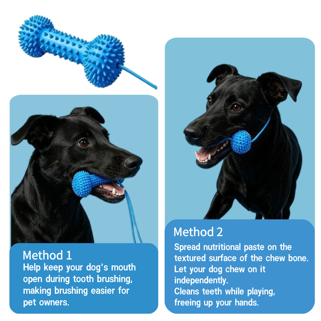 Dog wearing the dental chew toy at the back of the neck while the owner brushes its teeth