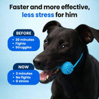 Dental chew toy fitted with an elastic cord for hands-free chewing