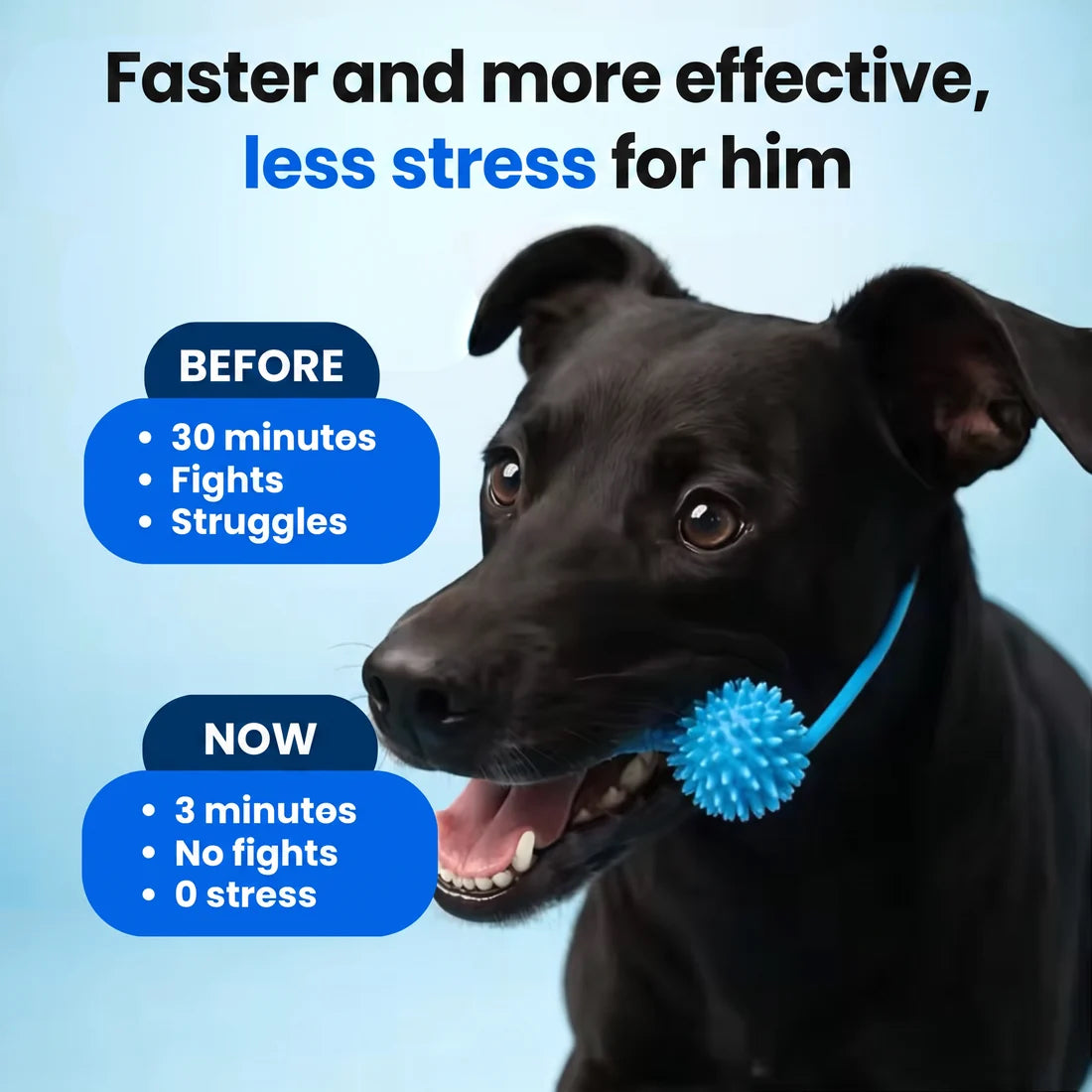 Dog Dental Chew Toy tether mounted for hands-free chewing