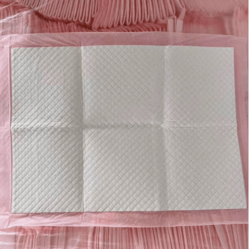 Disposable Pet Training Pads, Extra Thick, Super Absorbent Leak-Proof Puppy Pee Pads for Dogs & Cats - Seekey