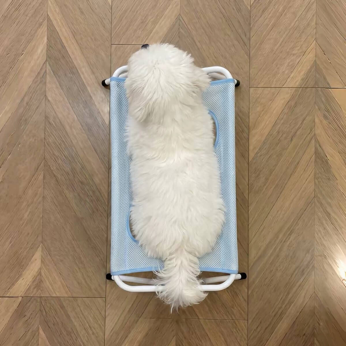 Foldable Pet Bath Grooming Stand - Seekey