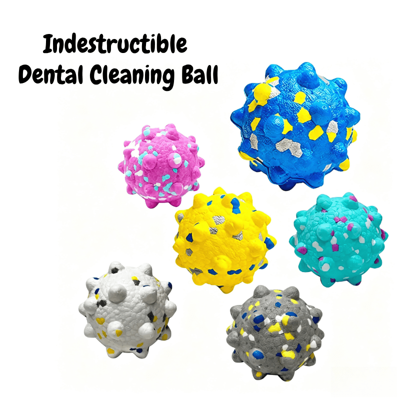 Indestructible Spiky Dental Dog Chew Ball - Seekey
