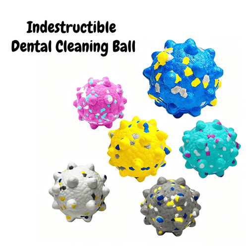 Indestructible Spiky Dental Dog Chew Ball - Seekey
