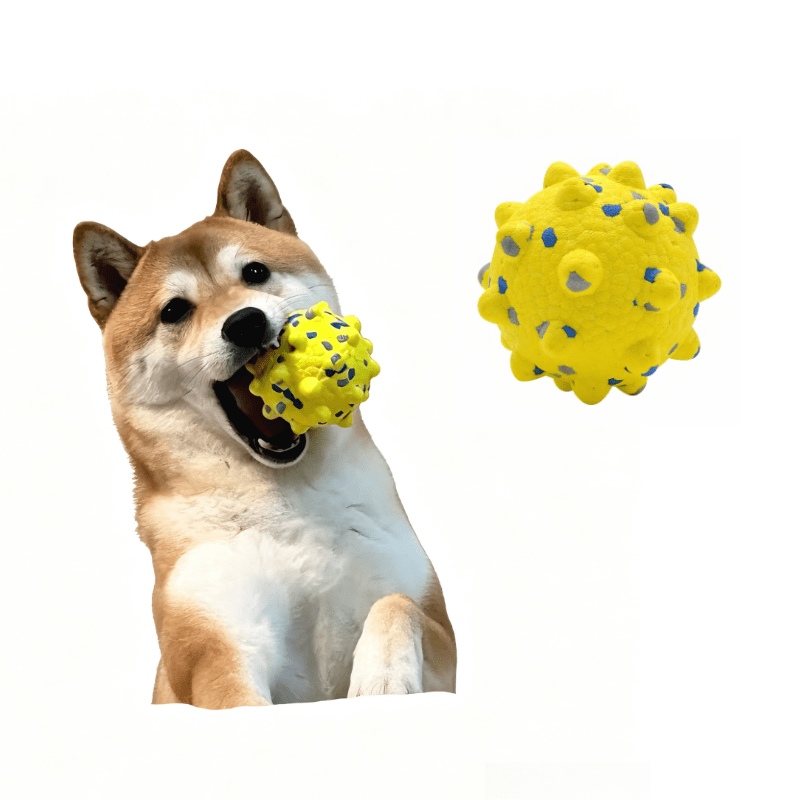 Indestructible Spiky Dental Dog Chew Ball - Seekey