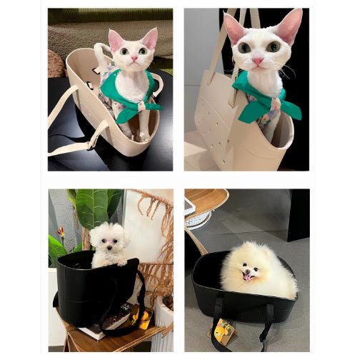 Lightweight EVA Pet Carrier Tote for Small Dogs & Cats - Seekey