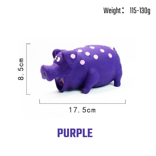 Squeaky Pig Dog Toy close-up showing durable material