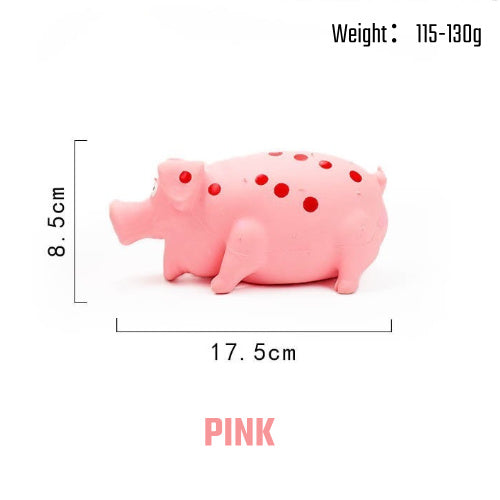 Dog playing fetch with the Squeaky Pig Dog Toy