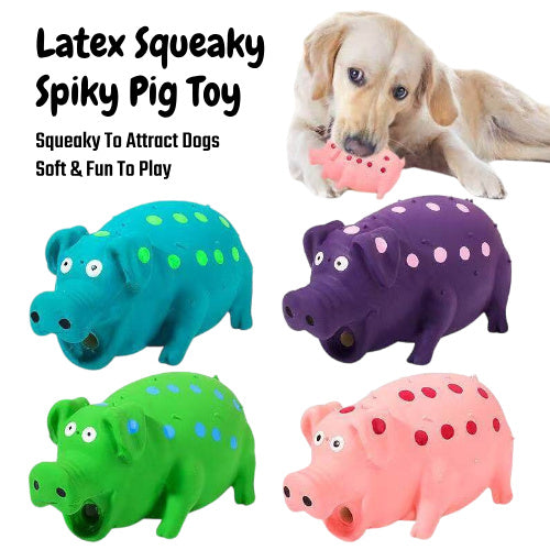 Dog chewing the Squeaky Pig Dog Toy