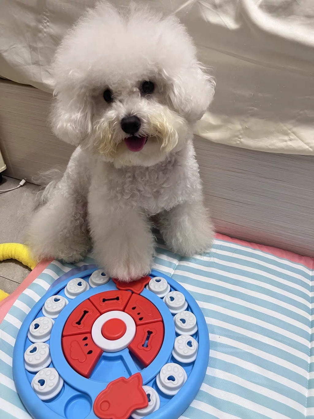Pizza Snuffle Puzzle Toy | Interactive Dog Enrichment Toy - Seekey