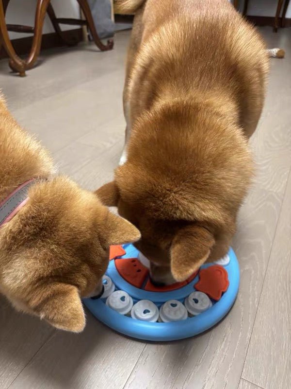 Pizza Snuffle Puzzle Toy | Interactive Dog Enrichment Toy - Seekey