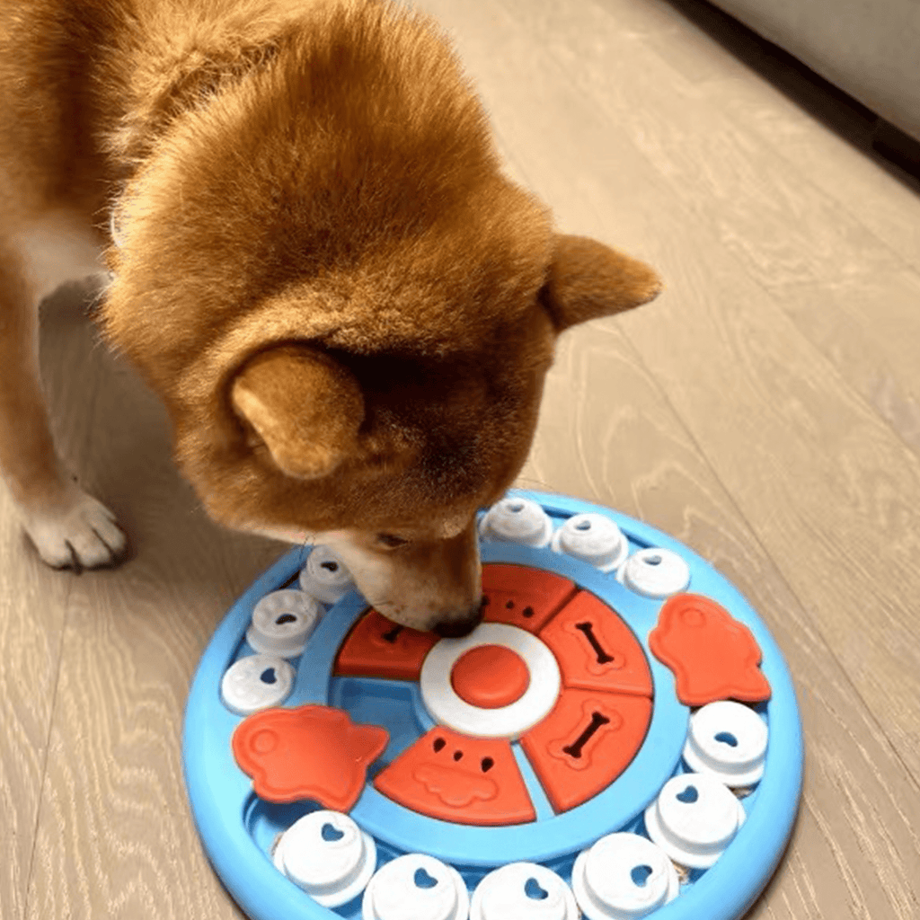 Pizza Snuffle Puzzle Toy | Interactive Dog Enrichment Toy - Seekey
