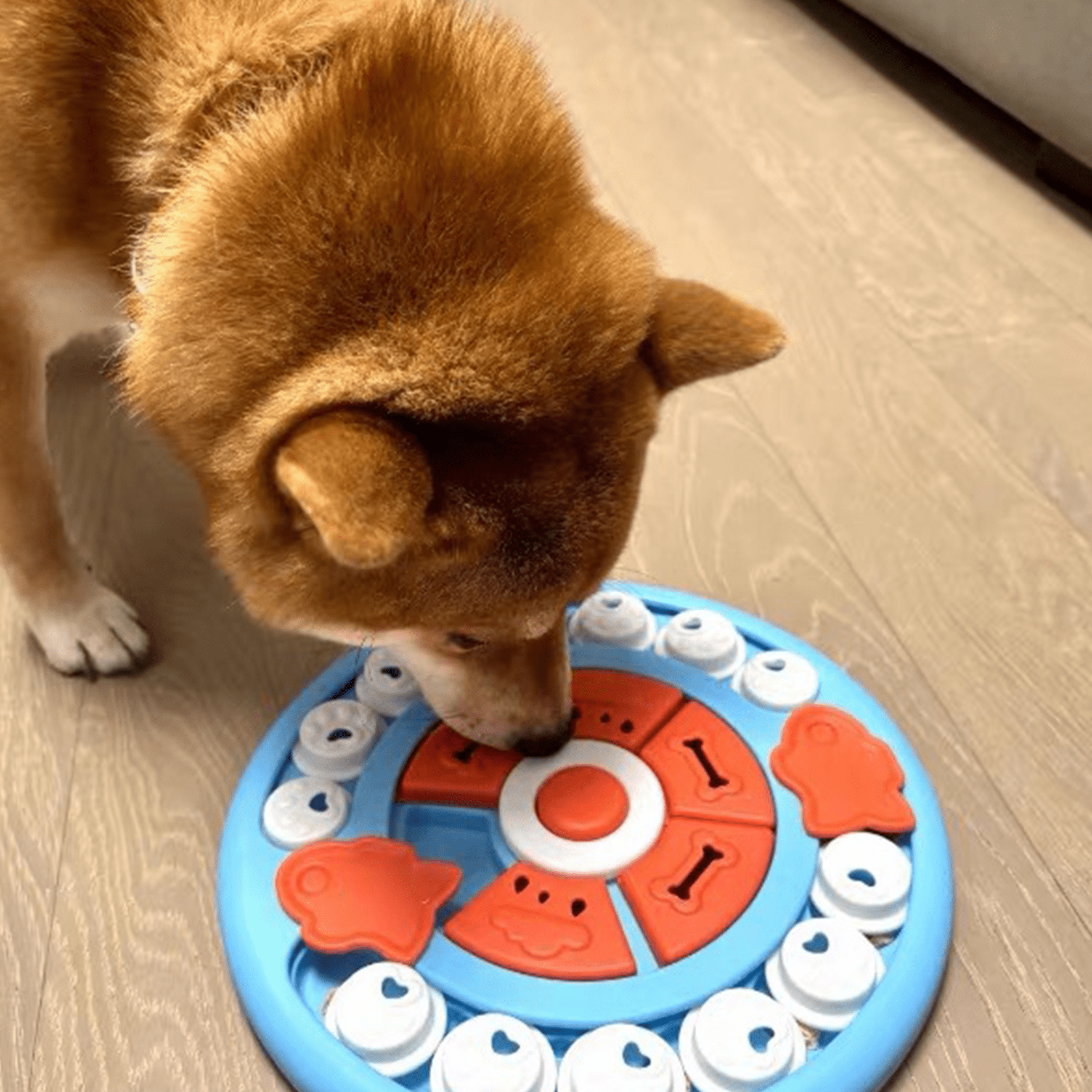 Pizza Snuffle Puzzle Toy | Interactive Dog Enrichment Toy - Seekey
