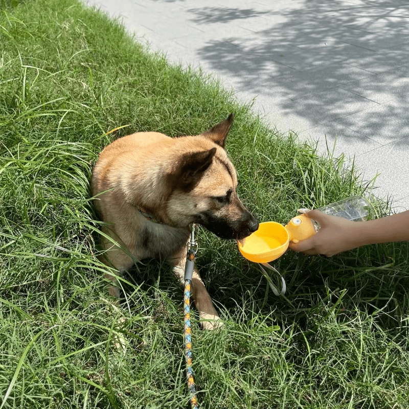 Portable Outdoor Dog Travel Water Bottle - Seekey
