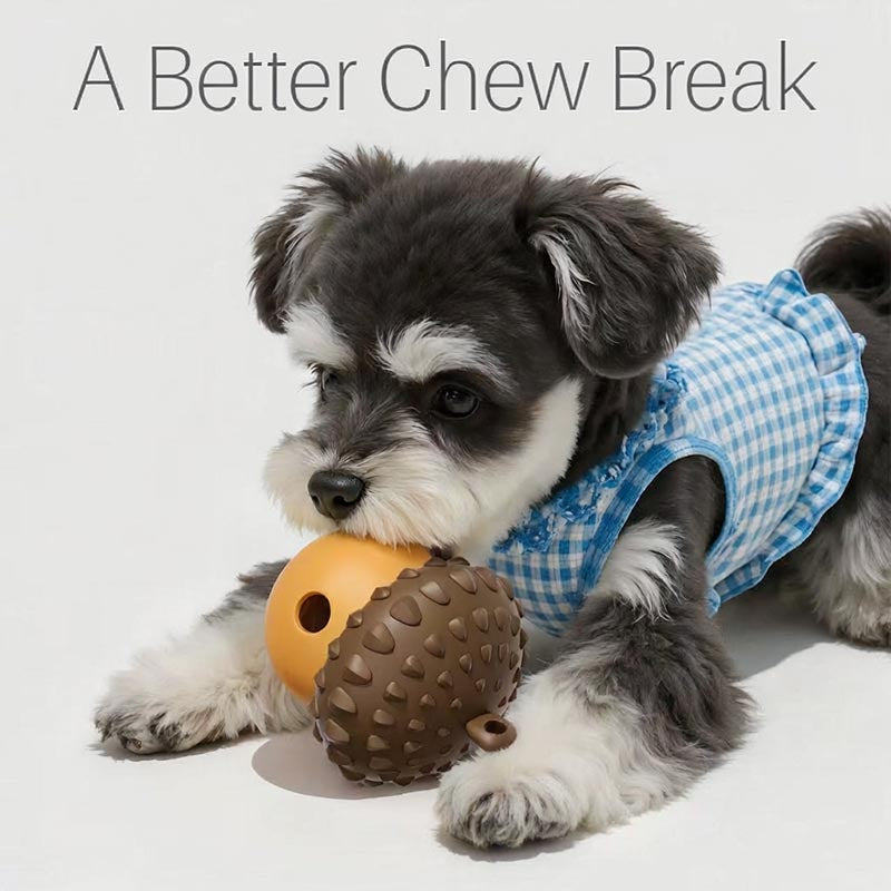 Small dog exploring an orange acorn-shaped treat dispenser on the floor