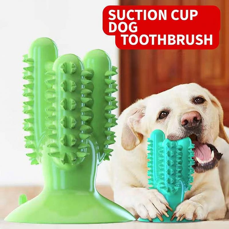 Dog biting the textured sides of a turquoise dog toothbrush toy