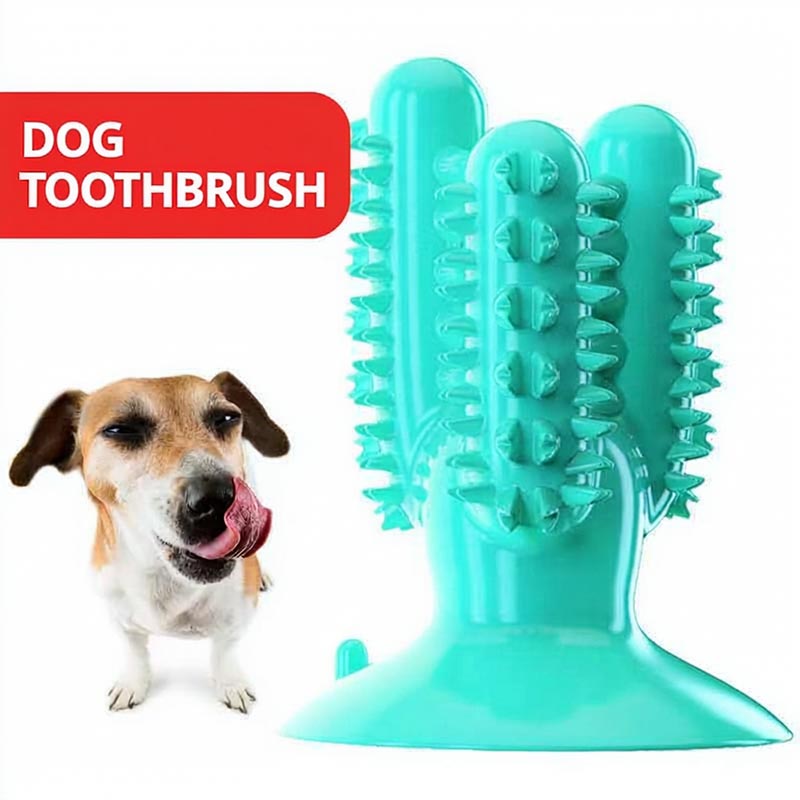 Turquoise dog toothbrush toy showing its ridged center groove and suction cup base