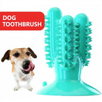 Turquoise dog toothbrush toy showing its ridged center groove and suction cup base