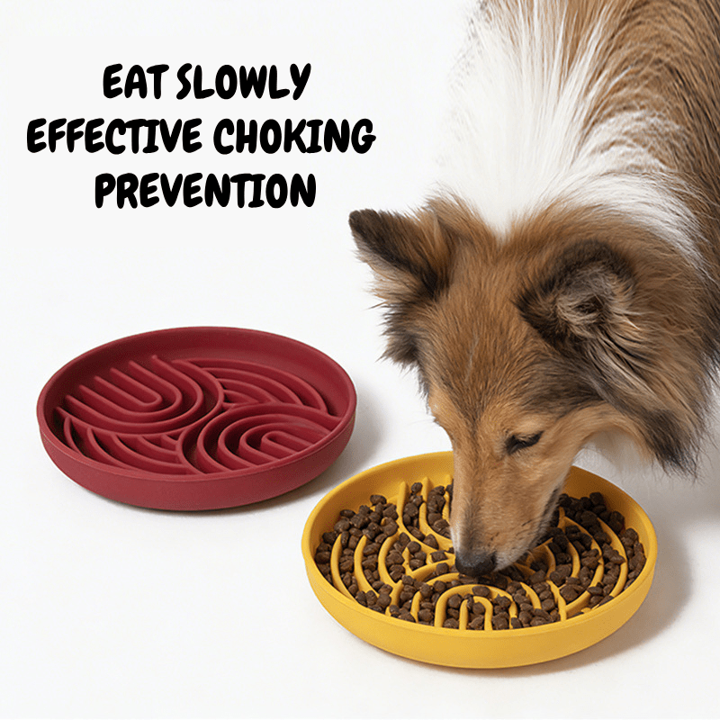 Slow Feeder Dog Bowl with Suction Base | Anti-Choking Pet Feeding Bowl - Seekey