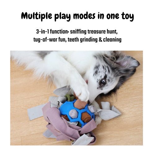 Sniff Tug Chew Interactive Dog Toy - Seekey