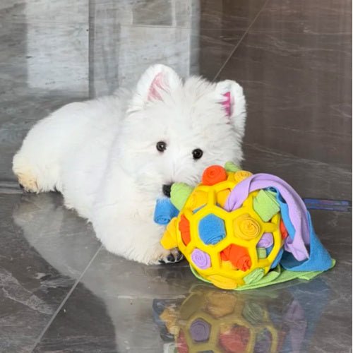 Sniff Tug Chew Interactive Dog Toy - Seekey