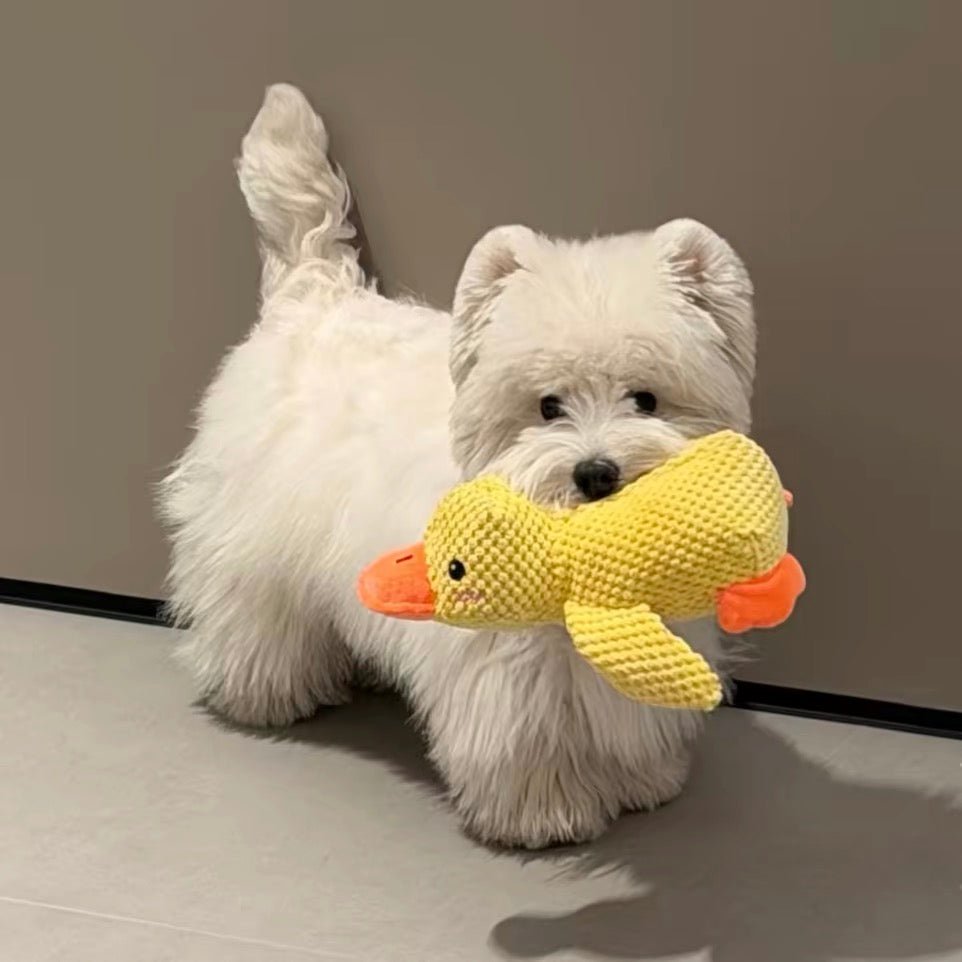 Squeaky Duck Dog Toy | Soft Plush Companion Toy for Dogs - Seekey
