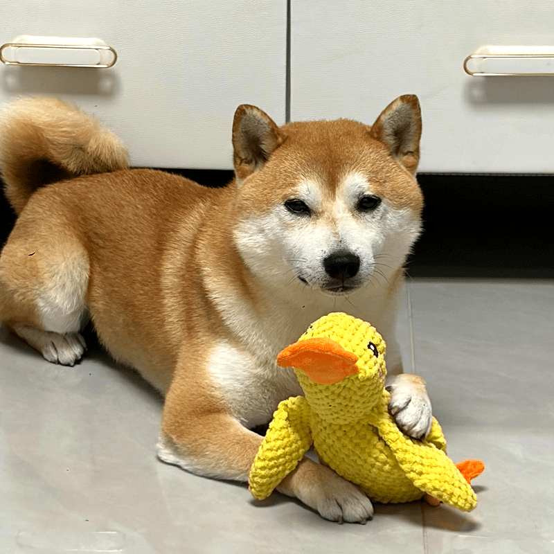Squeaky Duck Dog Toy | Soft Plush Companion Toy for Dogs - Seekey