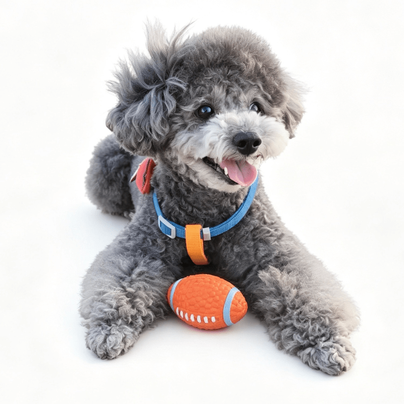 Tough Squeaky Dog Football Chew Ball - Seekey